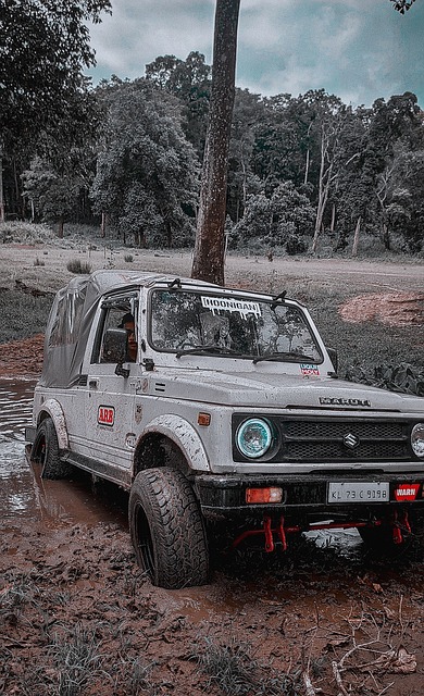 国际先进足 国际先进足