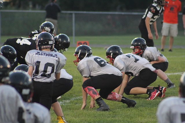 选择的理由 选择的理由