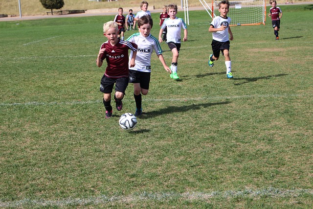 获得宝贵的 获得宝贵的